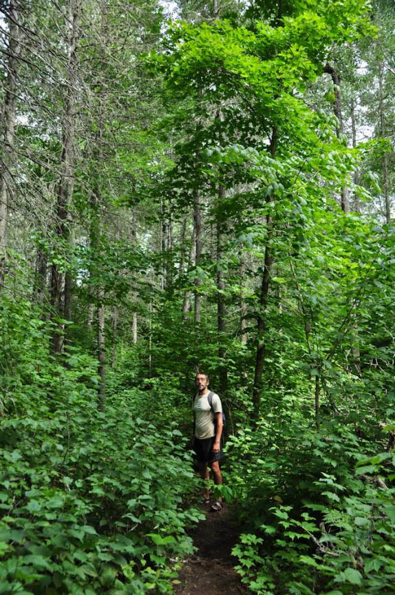 Trilha no Parc National de La Mauricie, província de Quebec, no Canadá